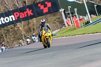 Oulton-Park-20th-March-2020;PJ-Motorsport-Photography-2020;anglesey;brands-hatch;cadwell-park;croft;donington-park;enduro-digital-images;event-digital-images;eventdigitalimages;mallory;no-limits;oulton-park;peter-wileman-photography;racing-digital-images;silverstone;snetterton;trackday-digital-images;trackday-photos;vmcc-banbury-run;welsh-2-day-enduro